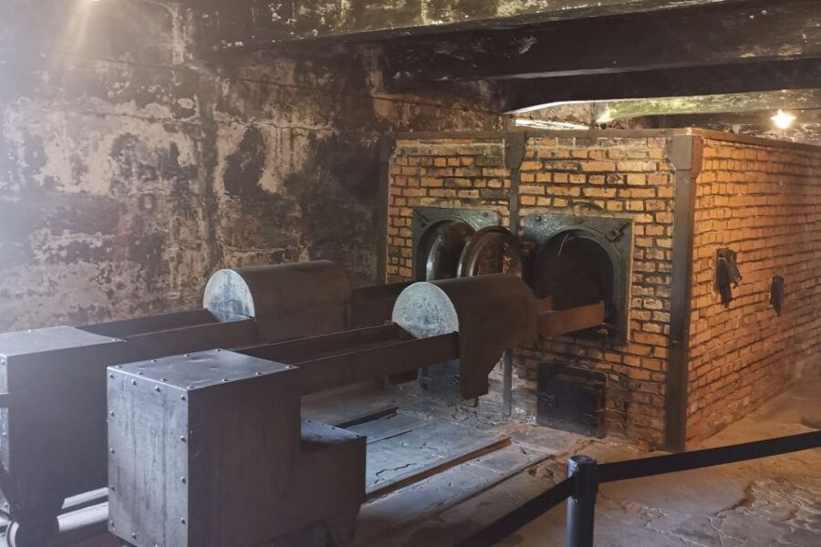 From Krakow: Auschwitz-Birkenau Camp Complex Guided Day Trip - Timing, Comfort, and What to Bring for a 7-Hour Day