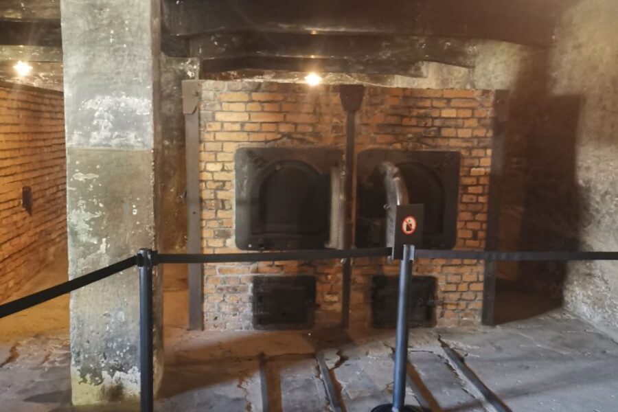 From Krakow: Auschwitz-Birkenau Camp Complex Guided Day Trip - Private Transportation and On-Site Assistance: The Value Behind the $83