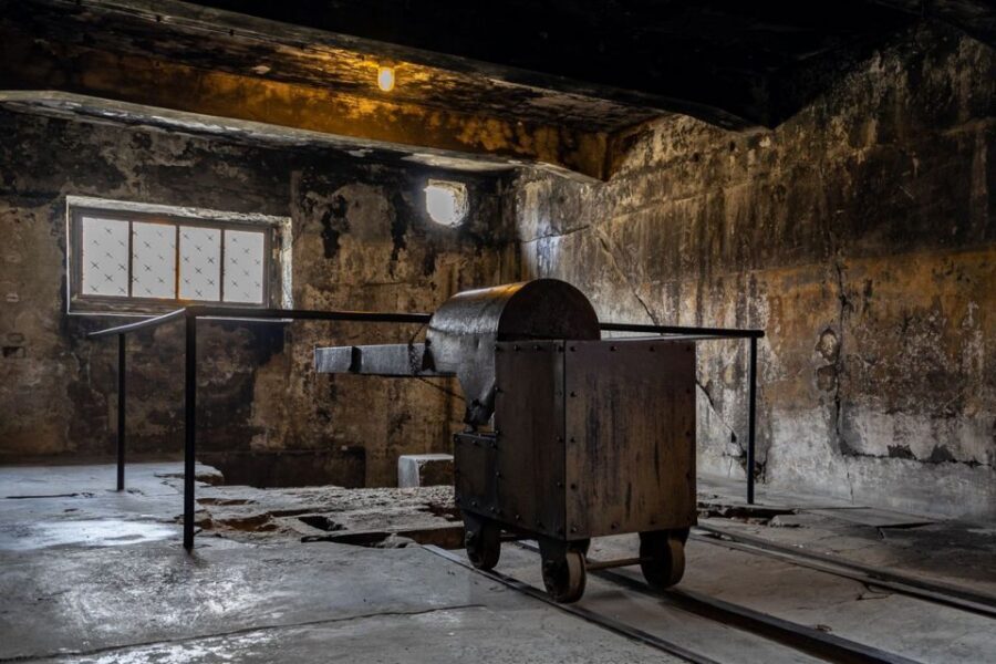 From Krakow: Auschwitz-Birkenau Full-Day Guided Tour - Block 11: why this stop hits differently