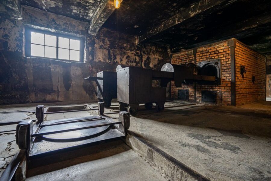 From Krakow: Auschwitz-Birkenau Full-Day Guided Tour - Transportation comfort and the real question: can you handle the walking?