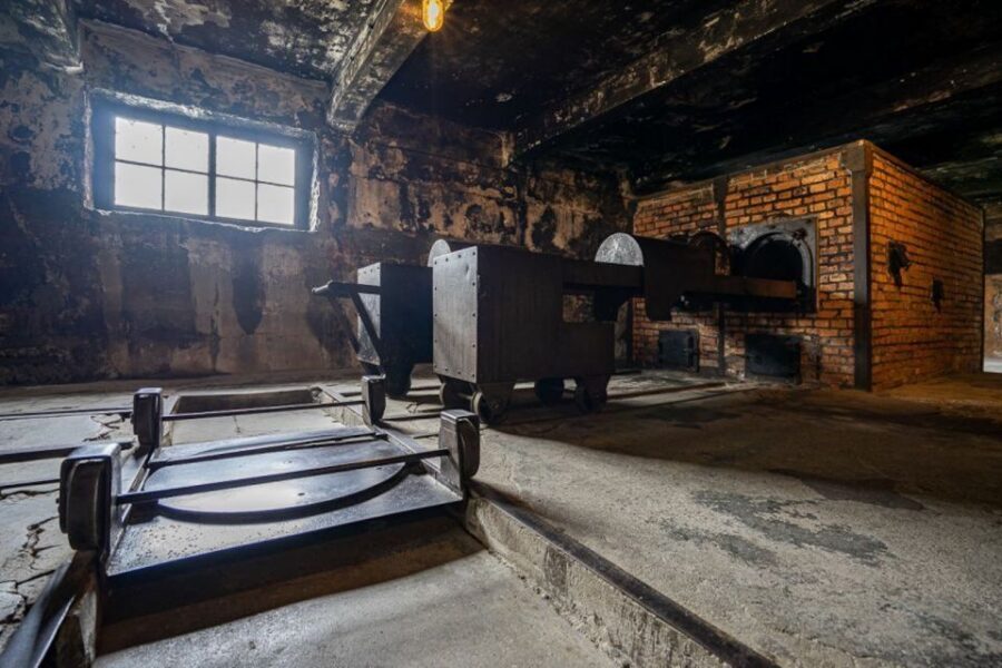 From Krakow: Auschwitz-Birkenau Full-Day Tour - The guided walk where you see the original parts of the camp