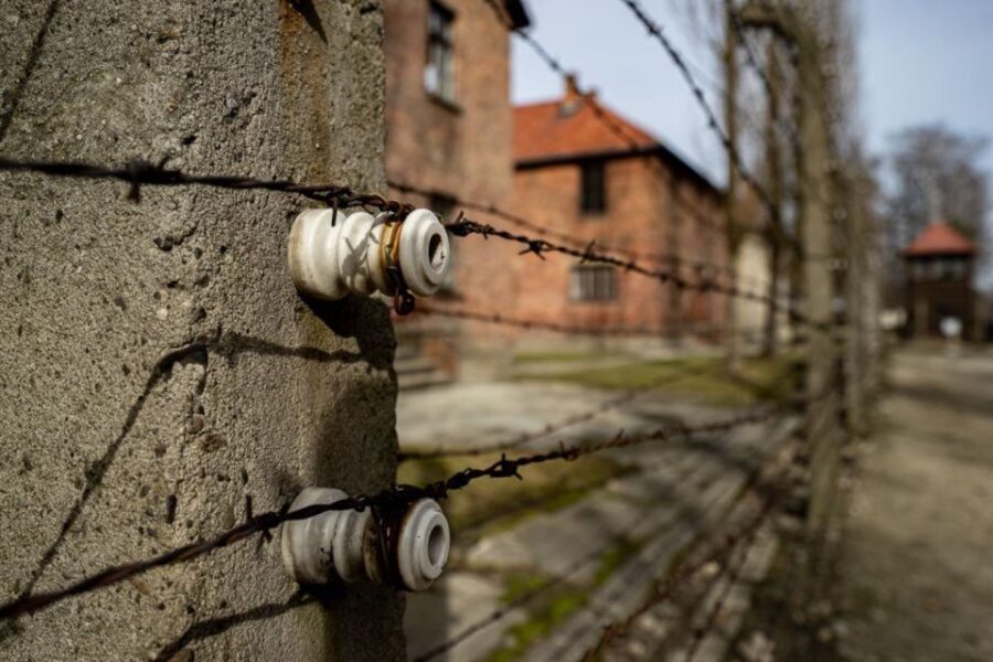 From Krakow: Auschwitz-Birkenau Full-Day Tour - Price and value: is $89 worth it?