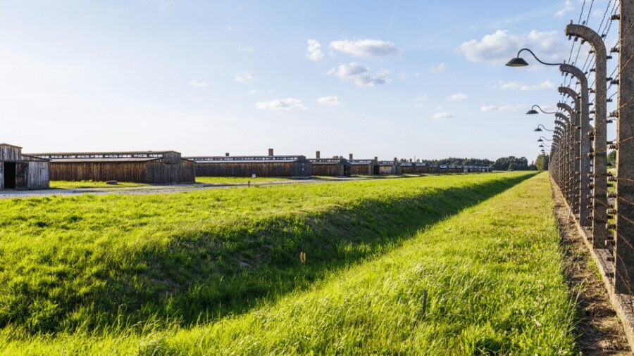 From Krakow: Auschwitz-Birkenau Guided Tour Guaranteed Time - Who this tour suits best (and who should think twice)