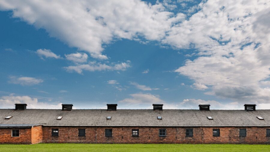 From Krakow: Auschwitz-Birkenau Guided Tour Guaranteed Time - Birkenau II: why the walk feels bigger than it sounds