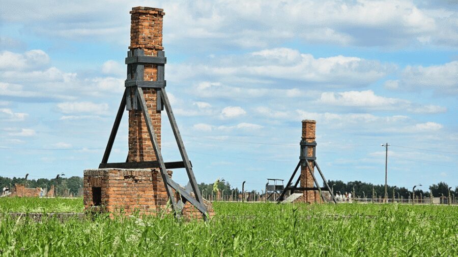 From Krakow: Auschwitz-Birkenau Guided Tour Guaranteed Time - How the pace is set, and how to make it work for you
