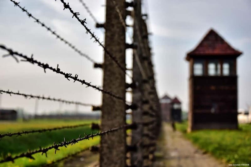 From Krakow: Auschwitz-Birkenau Guided Tour & Hotel Pickup - What your guide actually adds (and why names matter)
