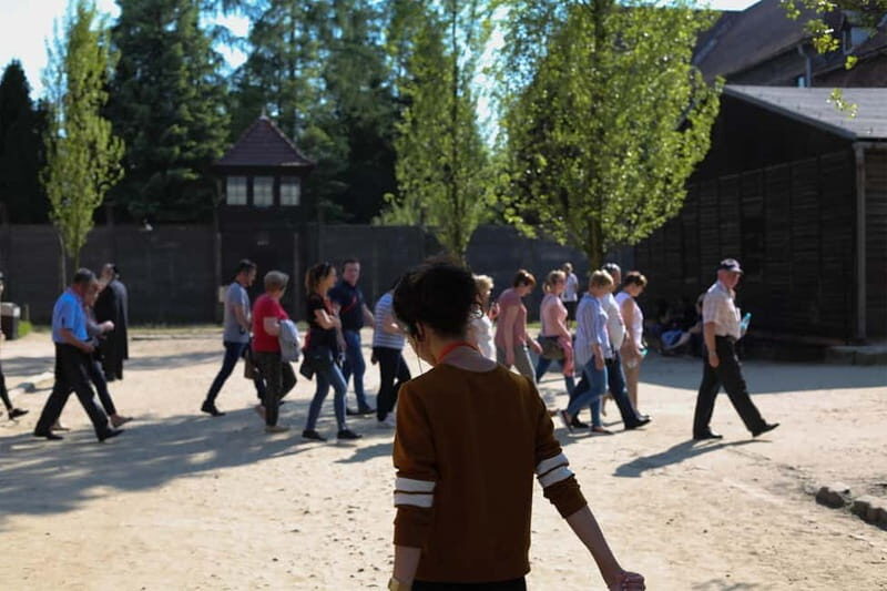 From Krakow: Auschwitz-Birkenau Guided Tour & Pickup Options - Getting to Oświęcim: the van ride that sets the tone