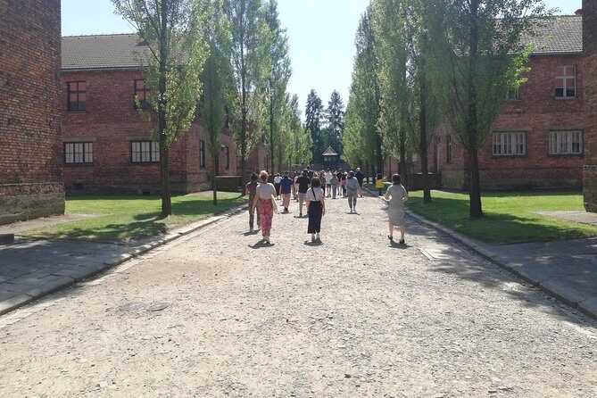 From Kraków: Auschwitz-Birkenau Guided Tour with Licensed Guide - Who This Tour Fits Best (and Who Should Reconsider)