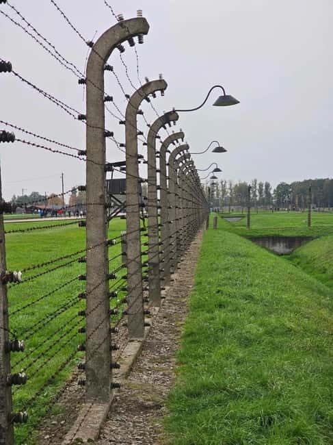 From Krakow: Auschwitz-Birkenau Guided Tour with Pickup - The Van Ride From Krakow: Comfort, Time, and a Mental Warm-Up