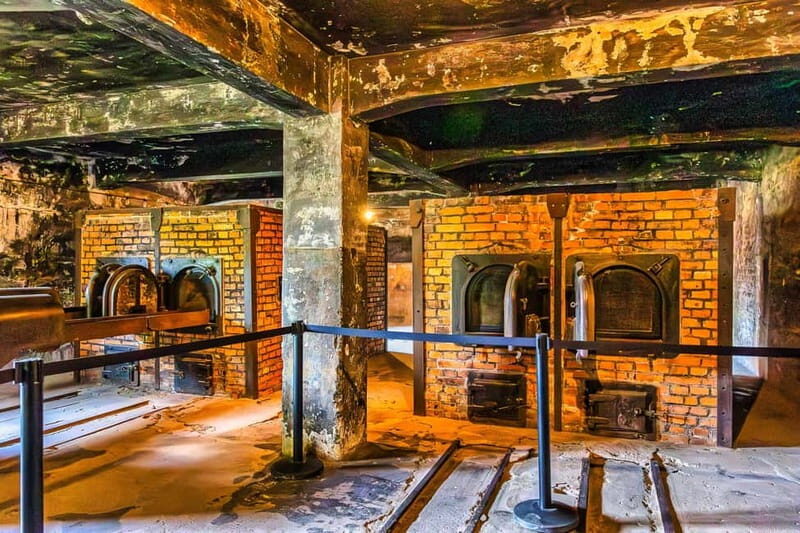 From Krakow: Auschwitz-Birkenau Guided Tour with Transport - Skip-the-line entry and a licensed English guide: the real value of $53