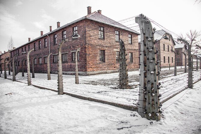 From Krakow: Auschwitz-Birkenau Memorial and Museum Guided Tour - The guide and English-language support you can actually use