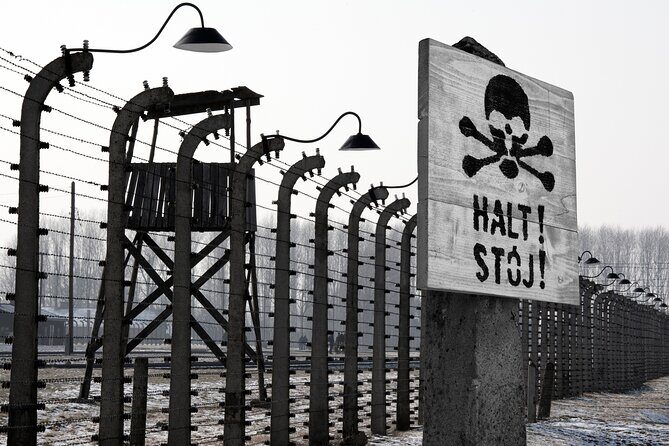 From Krakow: Auschwitz-Birkenau Memorial and Museum Guided Tour - Price and what you actually get for $81.66