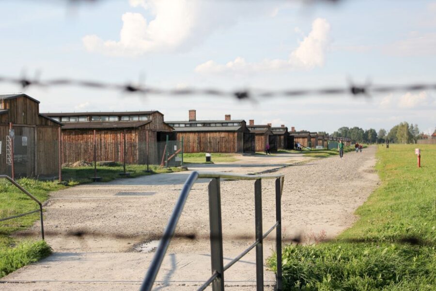 From Kraków: Auschwitz-Birkenau Memorial Guided Tour - Quick Hits Before You Go