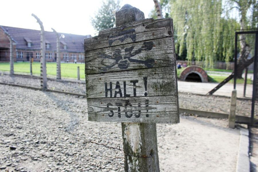 From Kraków: Auschwitz-Birkenau Memorial Guided Tour - What You Actually See at Auschwitz-Birkenau