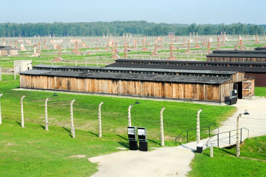 From Kraków: Auschwitz-Birkenau Memorial Guided Tour - The Guided Walk Inside the Museum: Timing and Pacing