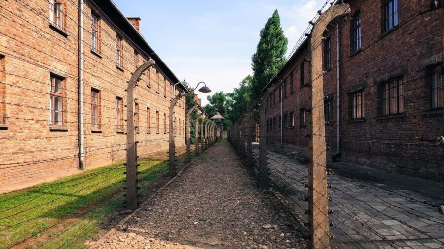 From Krakow: Auschwitz-Birkenau Memorial Private Tour - Skip-the-line value and the “private” part you actually feel