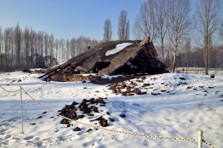 From Krakow: Auschwitz-Birkenau Private or Shared Tour - Should you book this tour or DIY it?