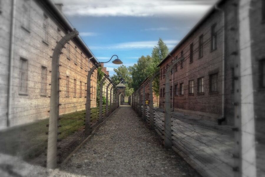 From Krakow: Auschwitz-Birkenau Private or Shared Tour - Transportation, comfort, and the little things that help