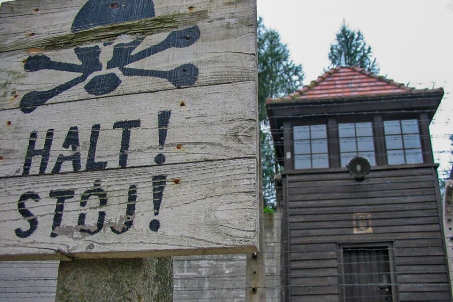 From Krakow: Auschwitz-Birkenau Private or Shared Tour - Price and value: what $642 buys you (and why it can be worth it)