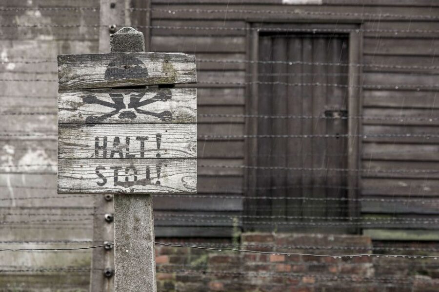 From Krakow: Auschwitz-Birkenau & Schindler's Factory Tour - Key things to know before you go