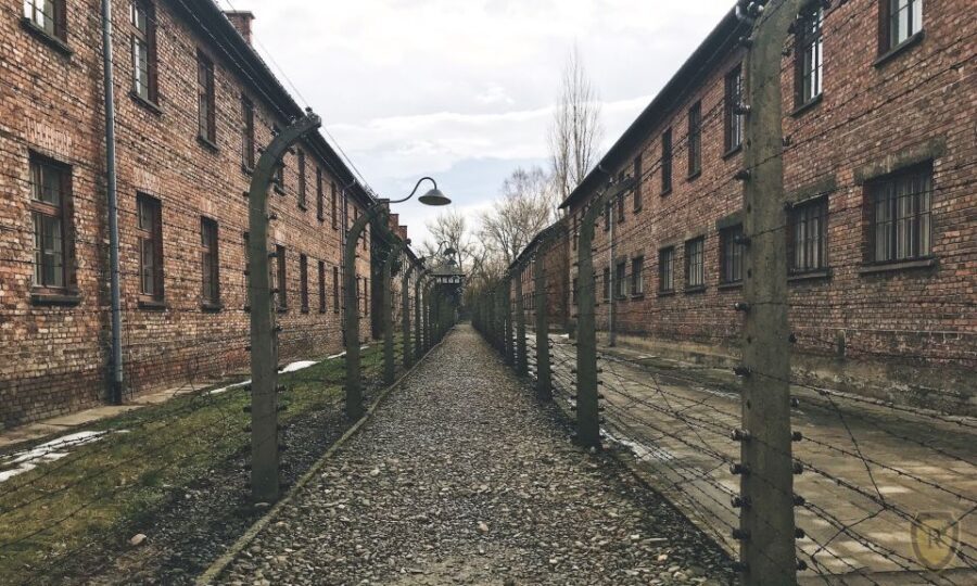 From Krakow: Auschwitz Birkenau Self-Guided Tour - The Auschwitz-Birkenau day trip from Krakow: how the flow works