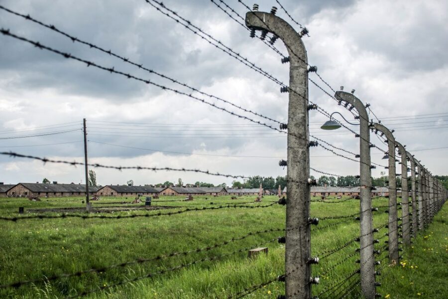 From Krakow: Auschwitz Birkenau Self-Guided Tour - Transport, logistics, and the little things that make or break the day