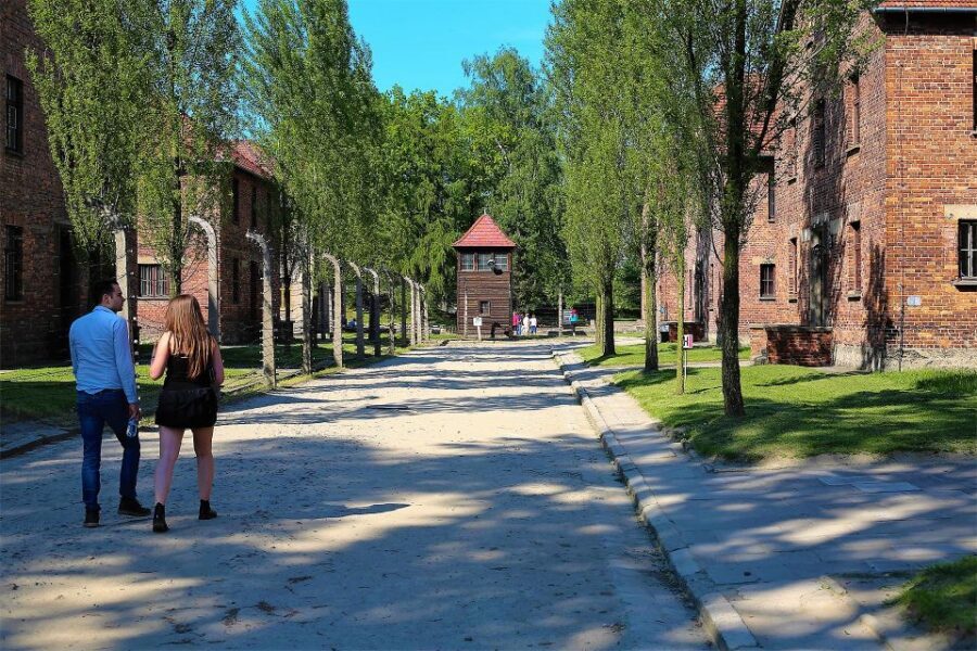 From Krakow: Auschwitz Birkenau Small Group Tour with Pickup - Key Things That Make This Tour Work