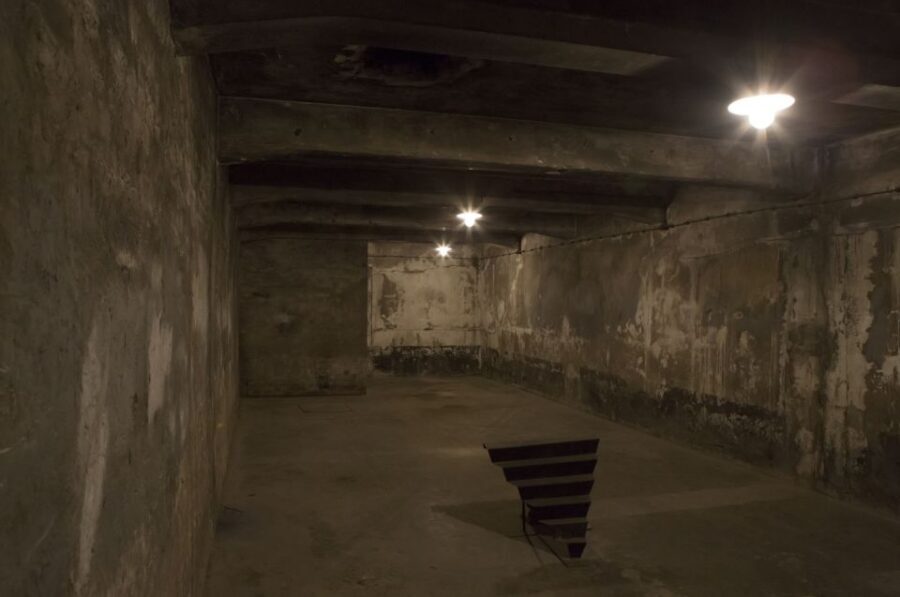 From Krakow: Auschwitz-Birkenau Tour - Auschwitz-Birkenau from Krakow: what this 7-hour day really includes