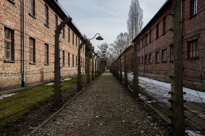 From Kraków: Auschwitz-Birkenau Tour with Lunch Box and Pick Up - Who this tour fits best (and who should consider alternatives)