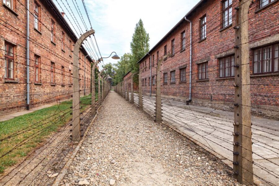 From Krakow: Auschwitz Birkenau Tour with Transfer - Auschwitz-Birkenau From Krakow: What This Transfer Tour Is Really About
