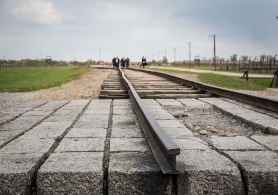 From Krakow: Auschwitz Birkenau Tour with Transfer - Getting to the Camps: Coach Transport, Pickup Options, and Comfort