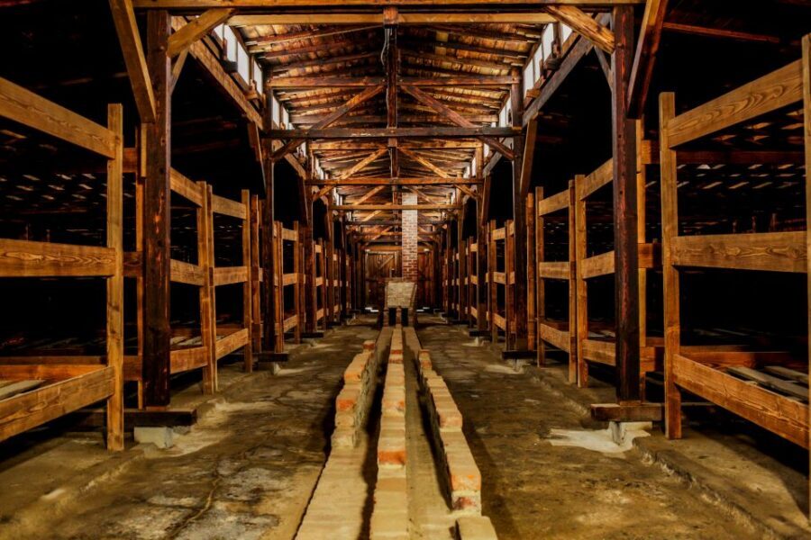From Krakow: Auschwitz-Birkenau Tour with Transportation - Guides and drivers: what makes the experience easier