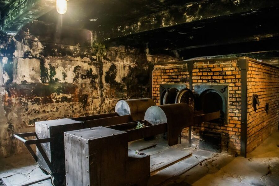 From Krakow: Auschwitz-Birkenau Tour with Transportation - Logistics you should not ignore