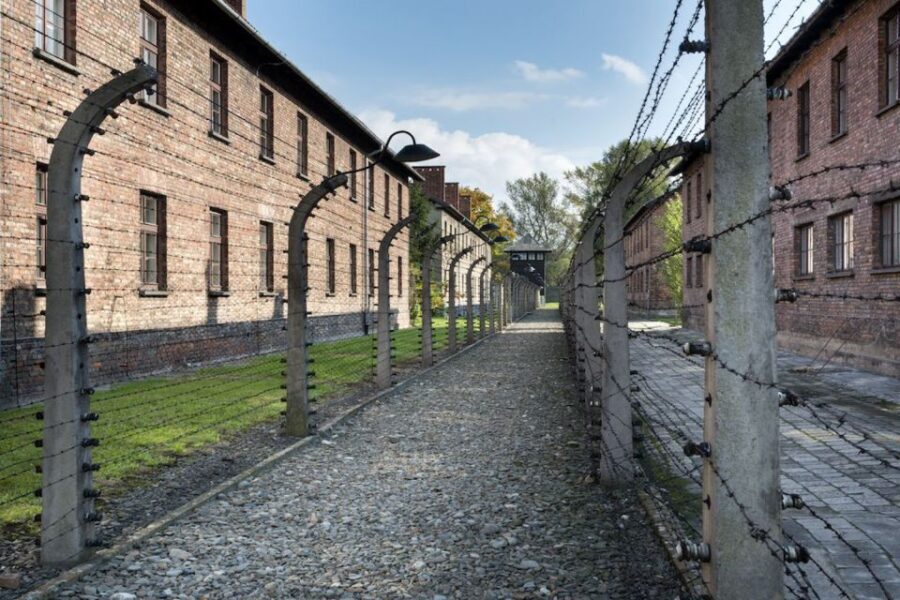 From Krakow: Auschwitz-Birkenau Tour - Skipping the ticket line: why it’s more than a convenience