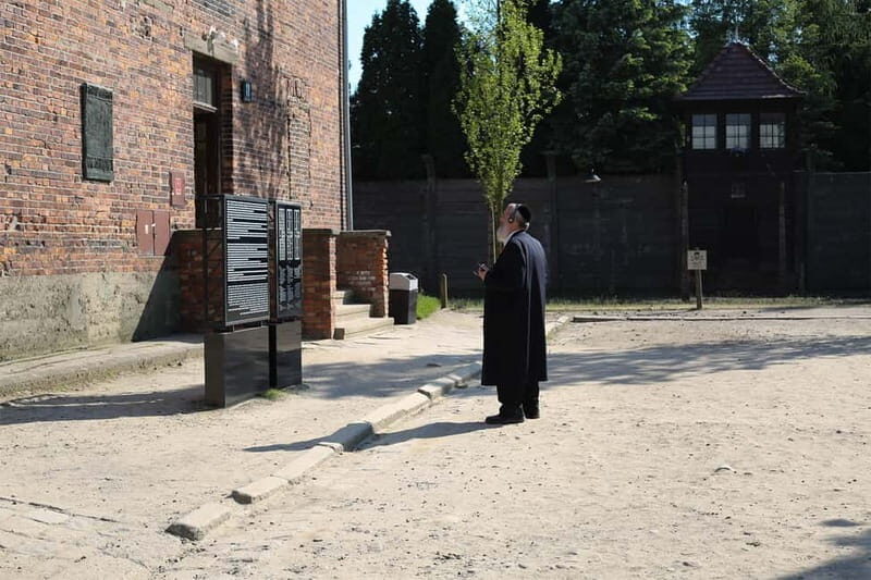 From Krakow: Auschwitz Museum and Wieliczka Salt Mine Tour - Switching to Auschwitz II-Birkenau for the full impact