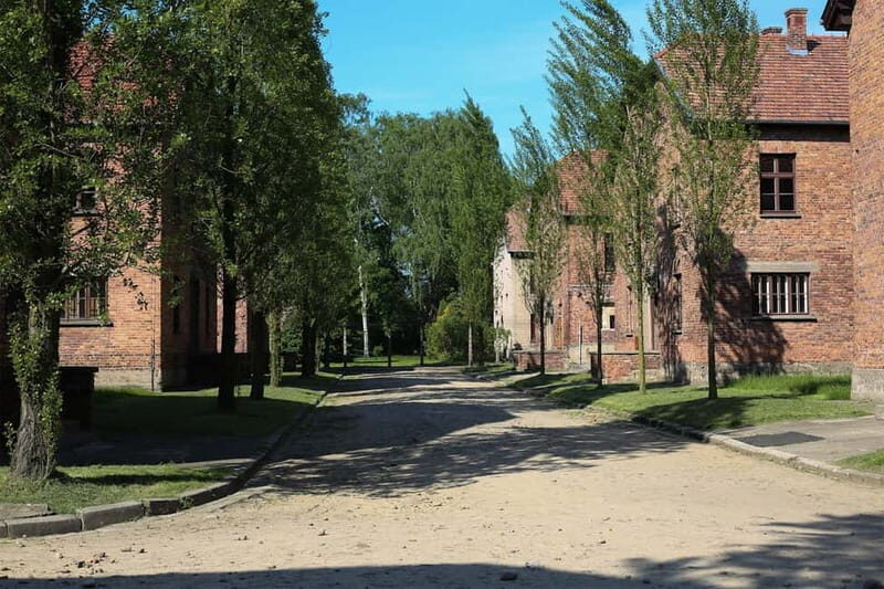 From Krakow: Auschwitz Museum and Wieliczka Salt Mine Tour - English guidance: how the live guide and audio support you