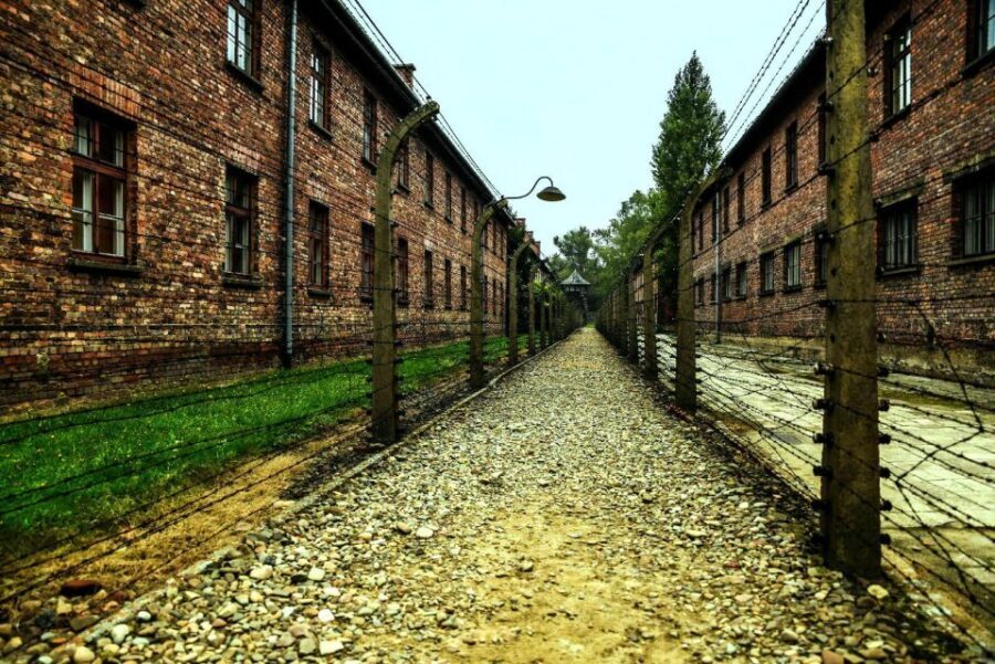 From Krakow: Guided Auschwitz-Birkenau Group Tour by Minivan - Key points to know before you go