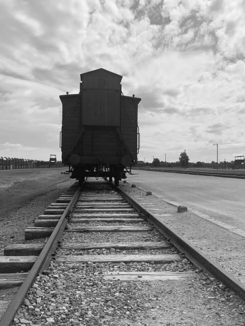 From Krakow: Guided Auschwitz-Birkenau Group Tour by Minivan - Comfort tips that make the memorial easier to handle
