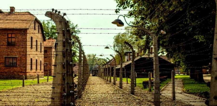 From Krakow: Guided Auschwitz-Birkenau Group Tour by Minivan - Auschwitz-Birkenau from Krakow: the 6.5-hour day that stays controlled
