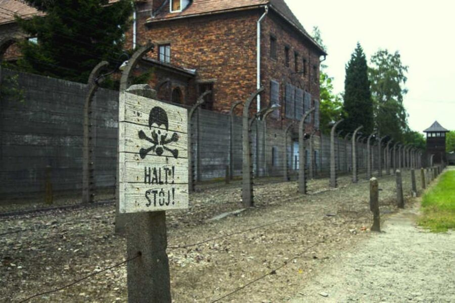 From Krakow: Guided Auschwitz-Birkenau Group Tour by Minivan - Skip-the-line entry: how to make the ticket do its job