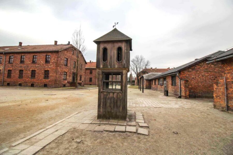 From Krakow: Guided Auschwitz-Birkenau Group Tour by Minivan - The role of the licensed museum guide: how your visit becomes understandable