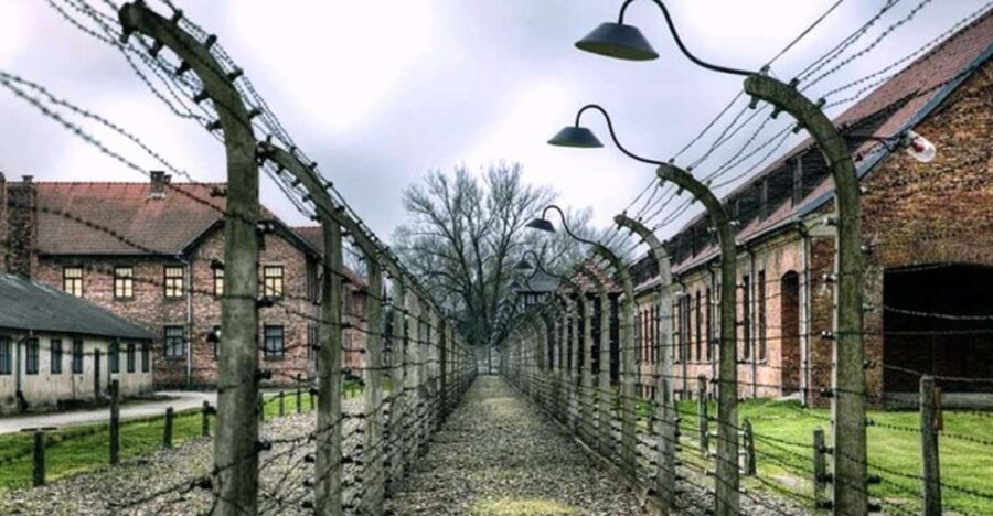 From Krakow: Guided Auschwitz-Birkenau Group Tour by Minivan - Price and value: why $68 can feel fair for this kind of day