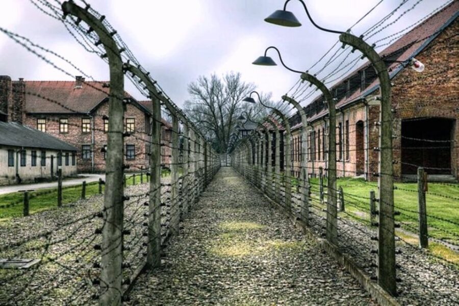 From Krakow: Guided Auschwitz-Birkenau Group Tour by Minivan - Morning pickup and the minivan ride: small group, focused start