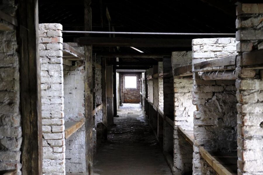 From Warsaw: Auschwitz-Birkenau Guided Tour with Fast Train - Original roads, fences, and towers: why the layout matters