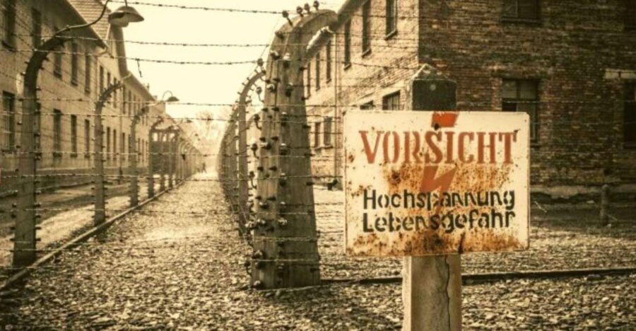 From Warsaw: Auschwitz-Birkenau Small Group Tour with Lunch - Key highlights to look for