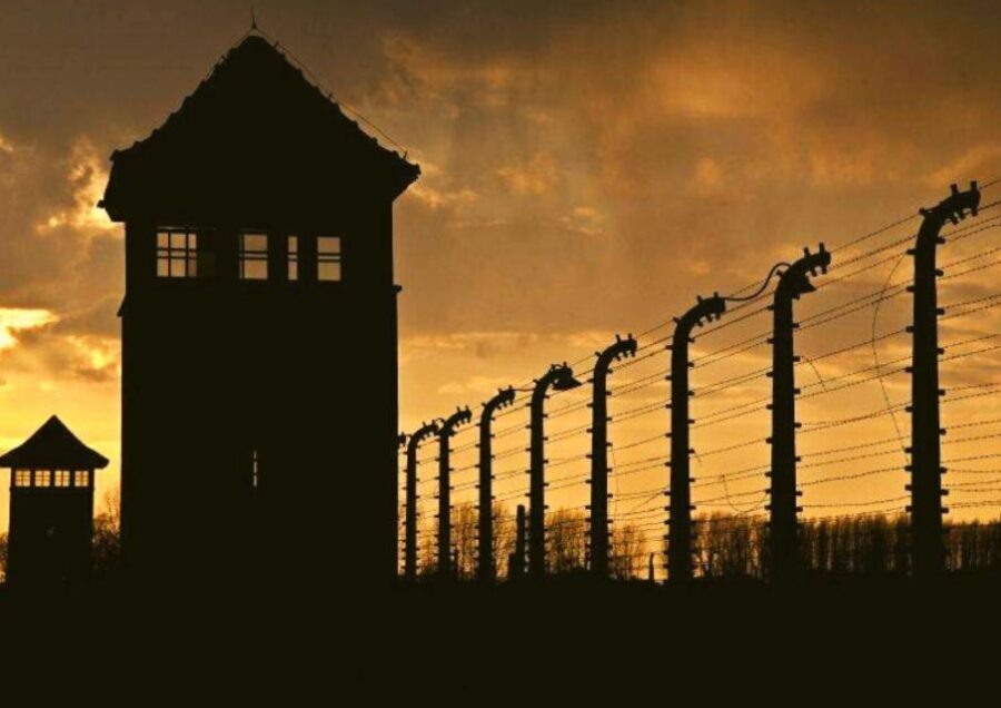 From Warsaw: Auschwitz-Birkenau Small Group Tour with Lunch - Auschwitz: the gate, the meaning, and what you’re actually looking at