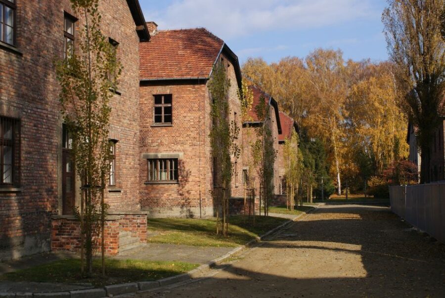 From Warsaw: Auschwitz-Birkenau Small Group Tour with Lunch - Birkenau: railway ramps, watchtowers, and the brutal geometry