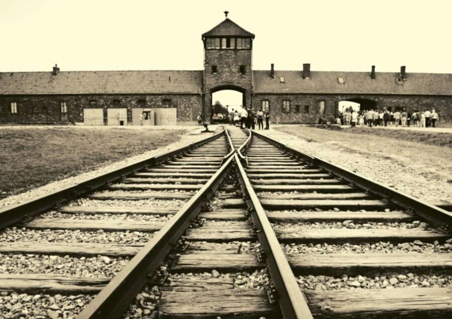 From Warsaw: Auschwitz-Birkenau Small Group Tour with Lunch - Museum time: personal artifacts and period photographs that give context