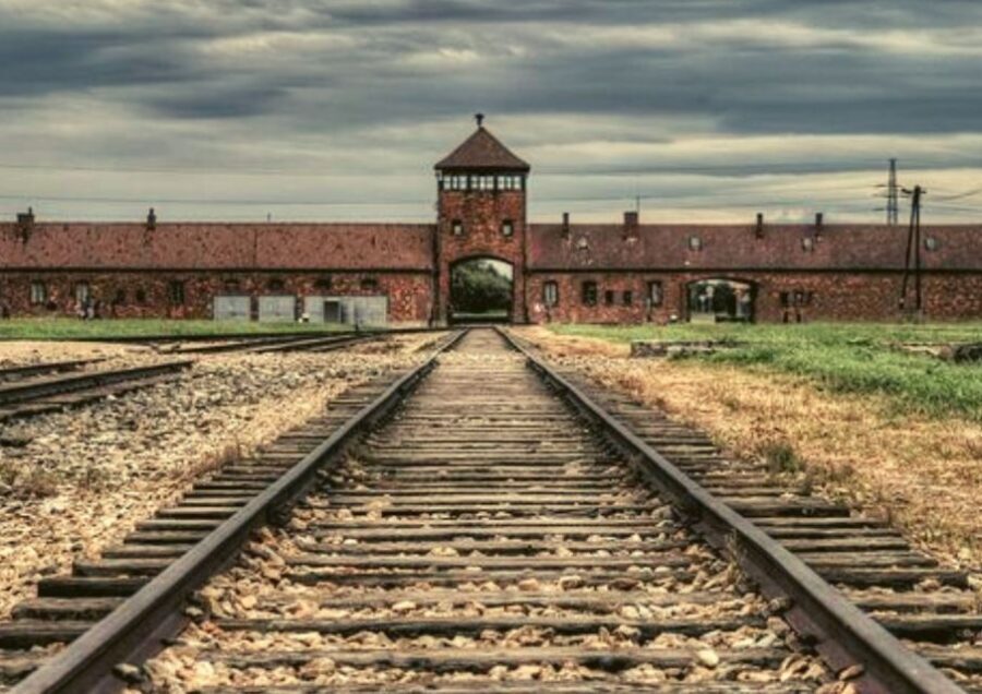 From Warsaw: Auschwitz-Birkenau Small Group Tour with Lunch - Lunch in a local restaurant: basic fuel, not a destination meal