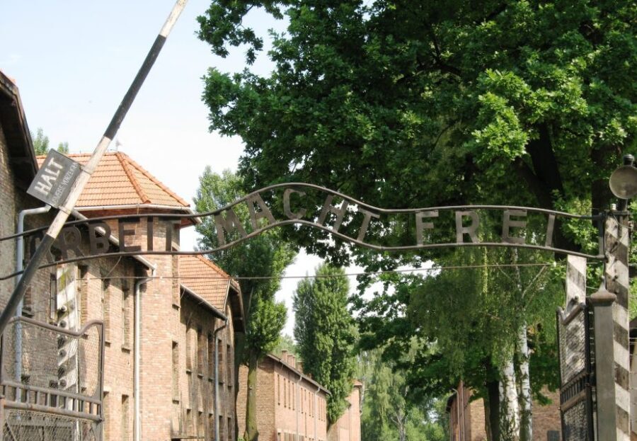 From Warsaw: Auschwitz-Birkenau Small Group Tour with Lunch - Price and value: is $350 per person worth it?